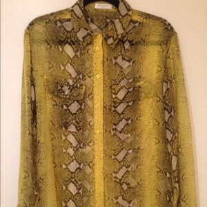 EquIpment silk chiffon button down blouse